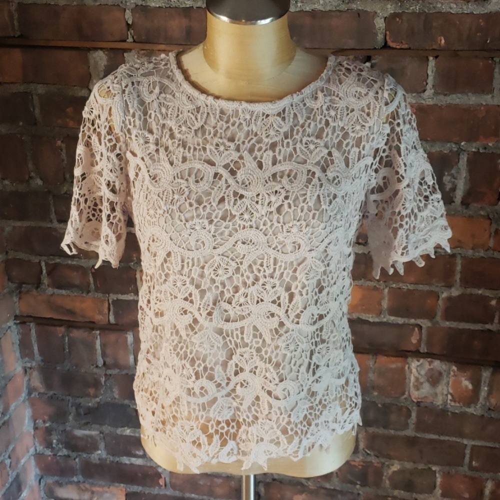 Embroidered Taupe Top